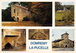 88-DOMREMY LA PUCELLE-N°T2762-B/0251 - Domremy La Pucelle