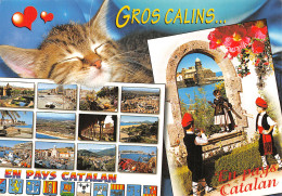 66-PAYS CATALAN FOLKLORE CATALAN-N°T2762-A/0063 - Other & Unclassified