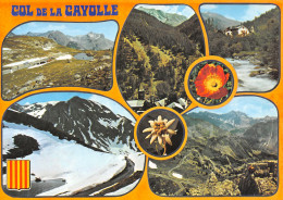 04-COL DE LA CAYOLLE-N°T2762-D/0363 - Autres & Non Classés