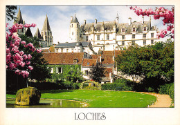 37-LOCHES-N°T2762-D/0175 - Loches
