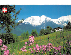 74-LE MONT BLANC-N°T2762-C/0207 - Other & Unclassified