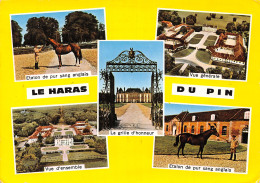 61-LE HARAS DU PIN-N°T2763-C/0325 - Autres & Non Classés
