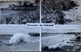 CPSM (Ille Et Vilaine). SAINT MALO, Souvenir De PARAME - Saint Malo