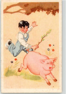 52235641 - - Pigs