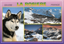 73-LA ROSIERE-N°T2764-D/0169 - Other & Unclassified