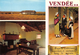 85-VENDEE FOLKLORE COSTUMES ET BOURRINES-N°T2764-D/0103 - Other & Unclassified