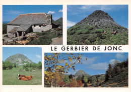 07-LE GERBIER DE JONC-N°T2764-C/0345 - Autres & Non Classés