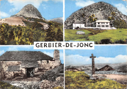 07-MONT GERBIER DE JONCS-N°T2764-B/0381 - Other & Unclassified