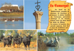 13-CAMARGUE-N°T2765-C/0131 - Autres & Non Classés