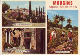 (06). Mougins. N° 102.  Alpes Maritimes. Bourg Fortifié Ceuillette Des Roses & (1) 1977 - Mougins