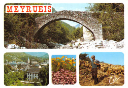 48-MEYRUEIS-N°T2765-B/0181 - Meyrueis