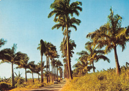 971-GUADELOUPE ALLEE DUMANOIR-N°T2766-B/0121 - Other & Unclassified