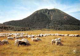 63-PUY DE DOME-N°T2766-B/0021 - Autres & Non Classés