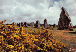 56-CARNAC-N°T2766-A/0339 - Carnac