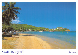 972-MARTINIQUE TARTANE-N°T2766-A/0183 - Other & Unclassified