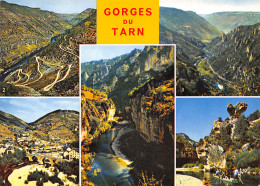 48-GORGES DU TARN-N°T2766-A/0169 - Gorges Du Tarn
