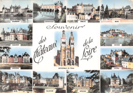 37-LES CHATEAUX DE LA LOIRE-N°T2765-D/0339 - Autres & Non Classés