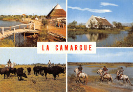 13-CAMARGUE FOLKLORE LES GARDIANS-N°T2765-C/0377 - Autres & Non Classés