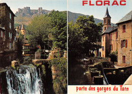 48-FLORAC-N°T2766-B/0267 - Florac
