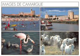 13-CAMARGUE-N°T2766-B/0183 - Other & Unclassified