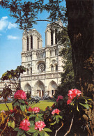 75-PARIS NOTRE DAME-N°T2767-B/0303 - Notre Dame De Paris