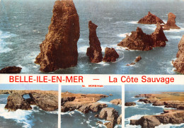 56-BELLE ILE EN MER COTE SAUVAGE-N°T2767-A/0329 - Belle Ile En Mer