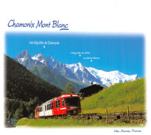 74-CHAMONIX-N°T2767-A/0281 - Chamonix-Mont-Blanc