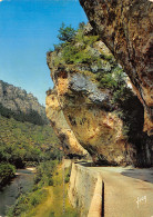 48-GORGES DU TARN-N°T2767-A/0129 - Gorges Du Tarn