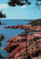 83-L ESTEREL-N°T2767-D/0255 - Other & Unclassified