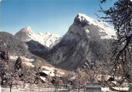 74-SAMOENS-N°T2768-C/0269 - Samoëns