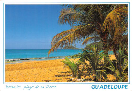 971-GUADELOUPE DESHAIES-N°T2768-B/0181 - Andere & Zonder Classificatie