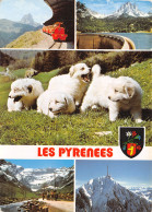 65-PYRENEES-N°T2769-D/0123 - Autres & Non Classés