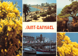 83-SAINT RAPHAEL-N°T2770-C/0363 - Saint-Raphaël