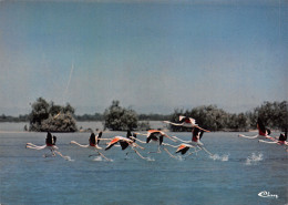 13-CAMARGUE FLAMANTS ROSES-N°T2771-B/0321 - Other & Unclassified