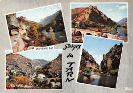 12-GORGES DU TARN-N°T2771-B/0061 - Other & Unclassified
