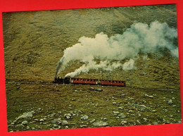 VBC-21 Train Entre Gletsch  Et Muttbach-Belvédère En 1968.  Non Circulé GF - Obergoms