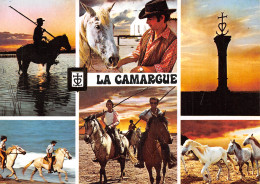 13-CAMARGUE FOLKLORE LES GARDIANS-N°T2772-A/0205 - Other & Unclassified