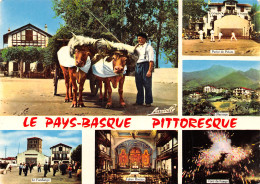 64-PAYS BASQUE FOLKLORE BASQUE-N°T2772-D/0007 - Other & Unclassified