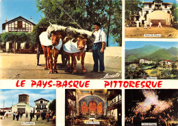 64-PAYS BASQUE FOLKLORE BASQUE-N°T2772-D/0007 - Autres & Non Classés