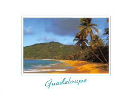 971-GUADELOUPE DESHAIES-N°T2772-C/0331 - Other & Unclassified
