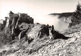 25-CHATEAU DE JOUX-N°T2772-C/0321 - Autres & Non Classés