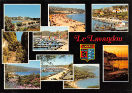 83-LE LAVANDOU-N°T2772-C/0203 - Le Lavandou