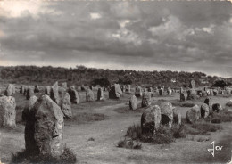 56-CARNAC-N°T2772-B/0351 - Carnac