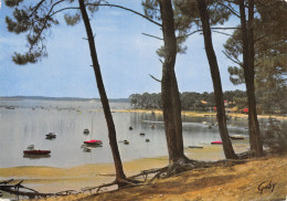 33-BASSIN D ARCACHON-N°T2772-B/0261 - Other & Unclassified