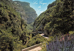 06-GORGES DU LOUP-N°T2772-B/0111 - Autres & Non Classés