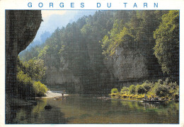 48-GORGES DU TARN-N°T2772-A/0379 - Gorges Du Tarn
