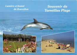66-TOREILLES PLAGE-N°T2772-D/0339 - Other & Unclassified