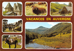 15-AUVERGNE-N°T2772-D/0201 - Autres & Non Classés