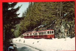 VBC-24 Train Martigny Chamonix Train Entre Le Chatelard Et Vallorcine Trient En 1979 - Trient