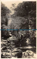 R162049 Fairy Glen. Bettws Y Coed. Salmon. RP. 1938 - Monde